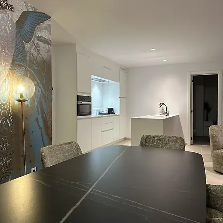 Spacious And Modern With Open Sea View * 奥斯滕德