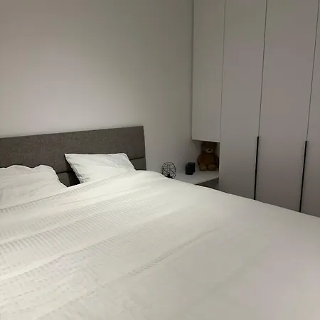 公寓 Spacious And Modern With Open Sea View 奥斯滕德