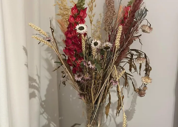 Διαμέρισμα Spacious And Modern With Open Sea View Οστένδη